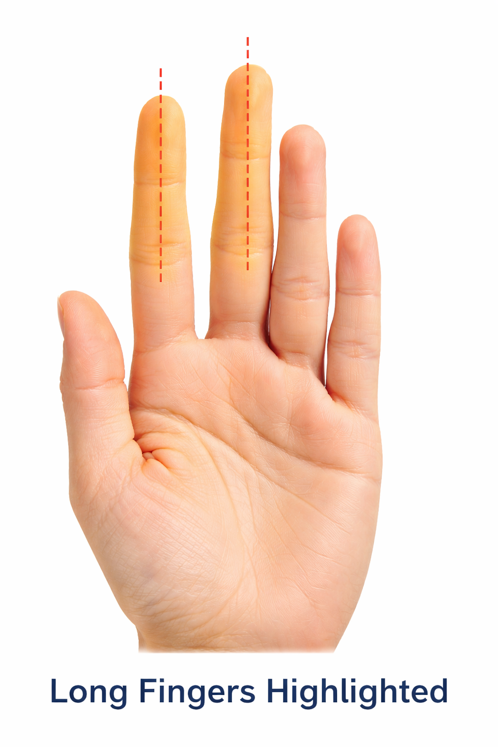 Long Fingers Example in Palmistry