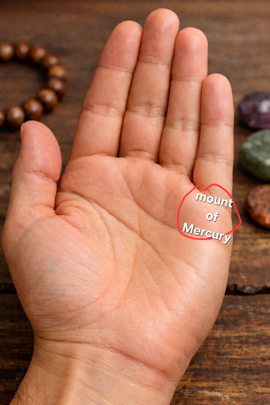 Mount of Mercury palmistry