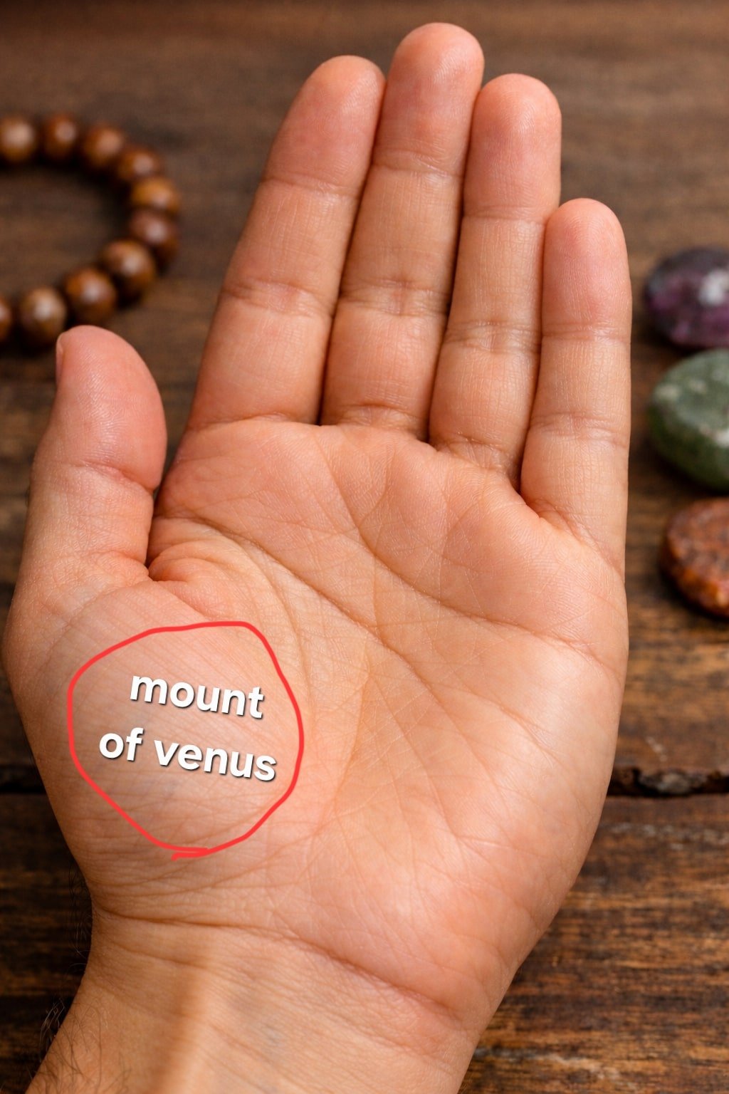 Mount of Venus palmistry
