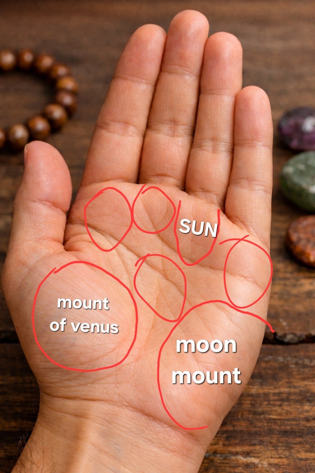 Palm mounts diagram